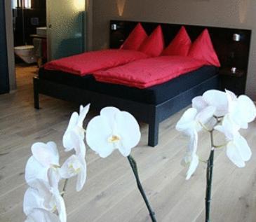 Hotel Quersinn Пфеффикон Номер фото